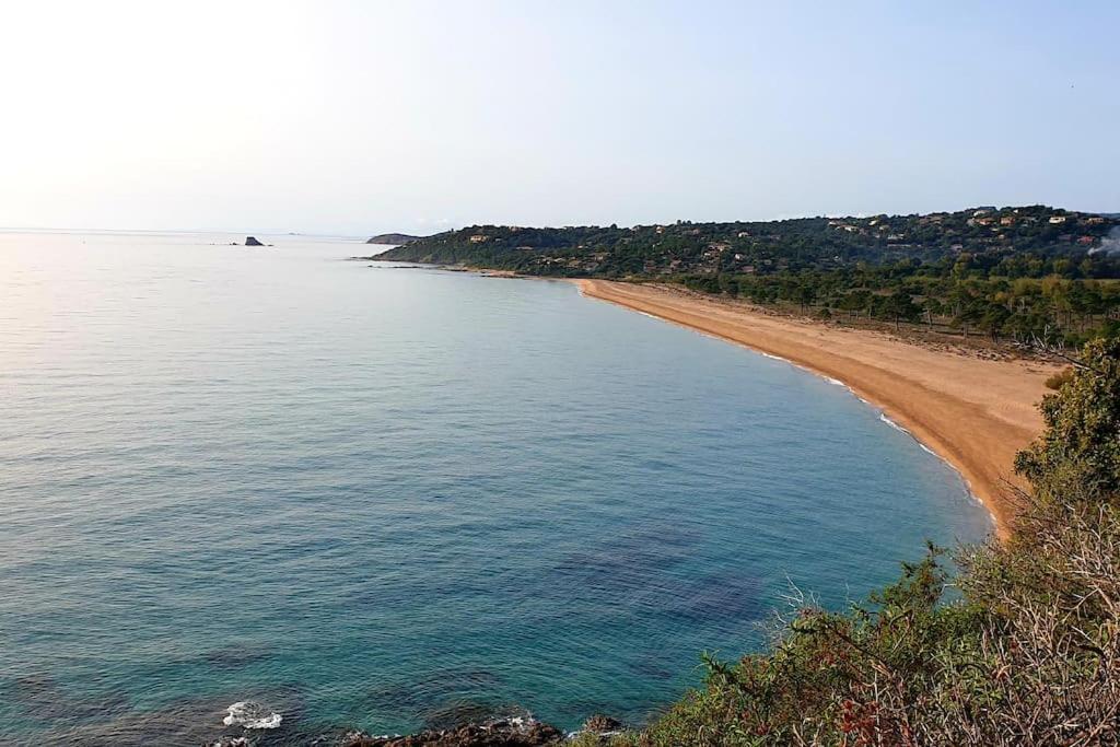 L'Original, Superbe Appartement A 5Min De La Plage Zonza Bagian luar foto