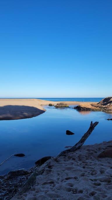 L'Original, Superbe Appartement A 5Min De La Plage Zonza Bagian luar foto